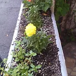 Cindric Apartman Selce