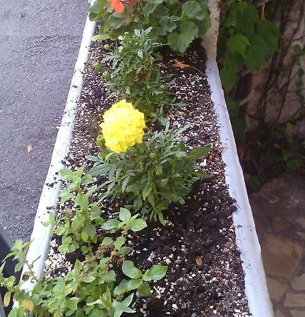 Cindric Apartment Selce