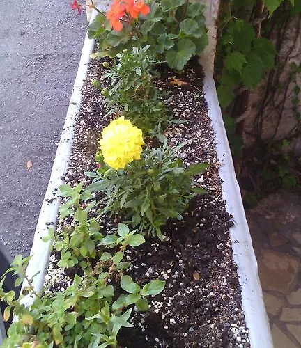 Cindric 아파트 셀스