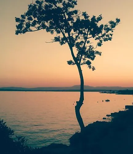 아파트 Cindric 셀스